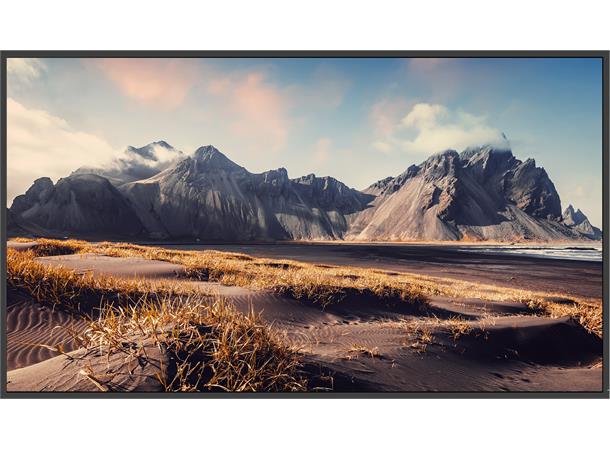 MAXHUB 86" 4K Display